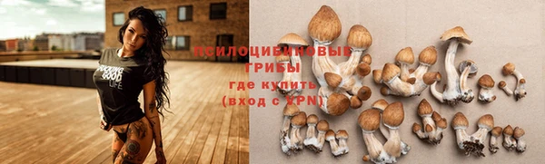 скорость Белокуриха