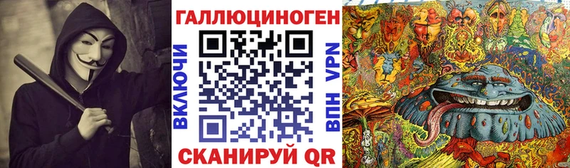 Псилоцибиновые грибы Psilocybe  кракен вход  Куртамыш  продажа наркотиков 