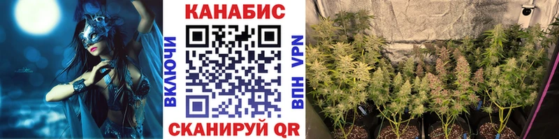 Марихуана планчик Куртамыш